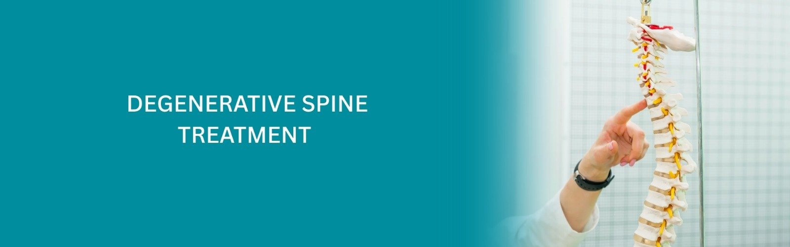 Degenerative Spine Treatment